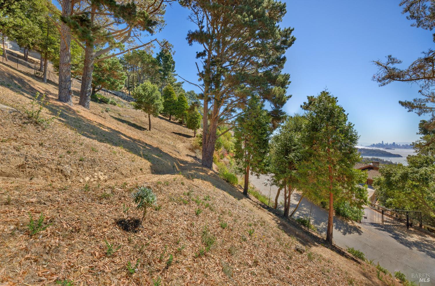 107 Mt Tiburon Road Tiburon, CA 94920 - Photo 16 of 20