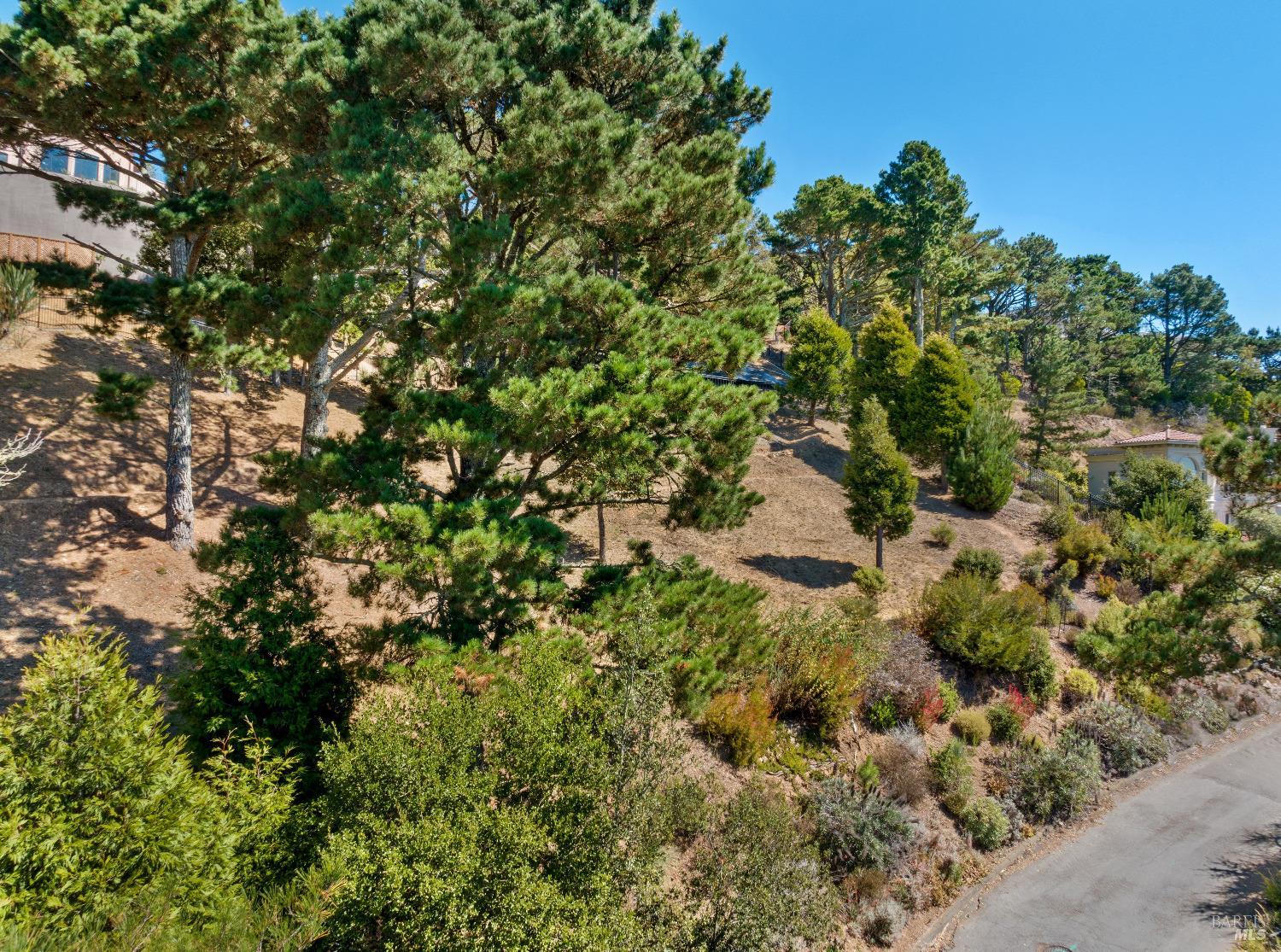107 Mt Tiburon Road Tiburon, CA 94920 - Photo 4 of 20