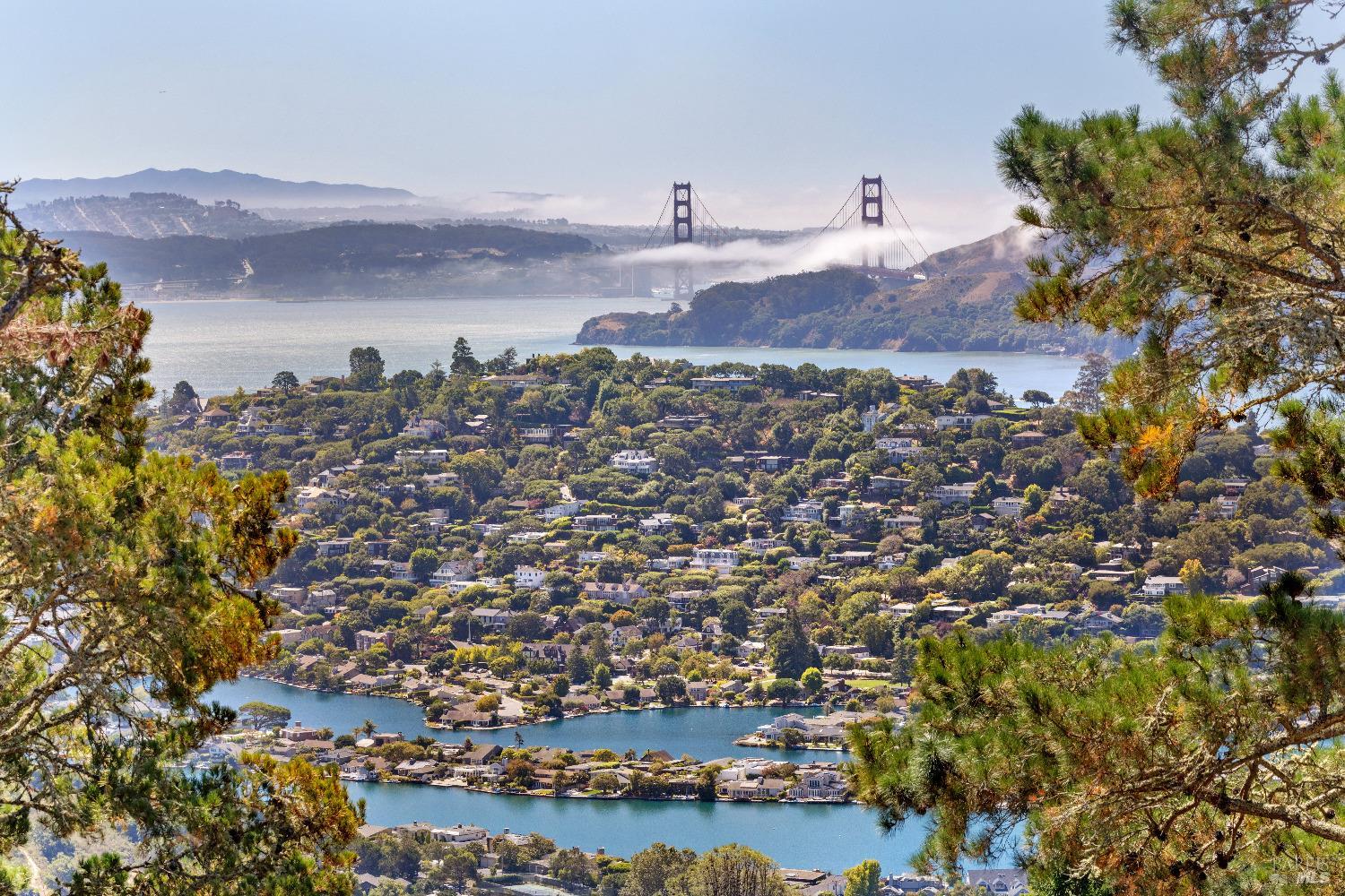 107 Mt Tiburon Road Tiburon, CA 94920 - Photo 9 of 20