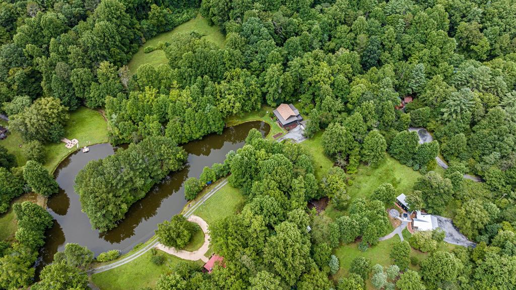 151 Olivers Pond Road Cherry Log, GA 30522 - Photo 12 of 57