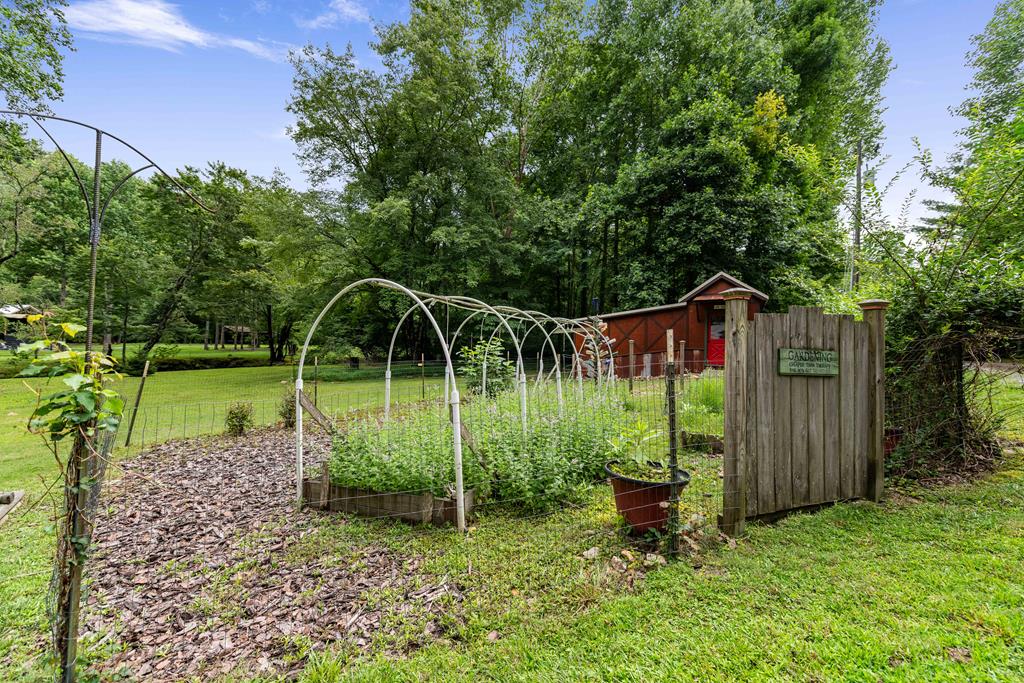 151 Olivers Pond Road Cherry Log, GA 30522 - Photo 25 of 57