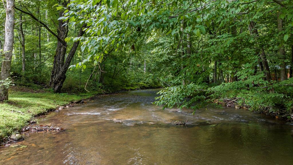 151 Olivers Pond Road Cherry Log, GA 30522 - Photo 6 of 57