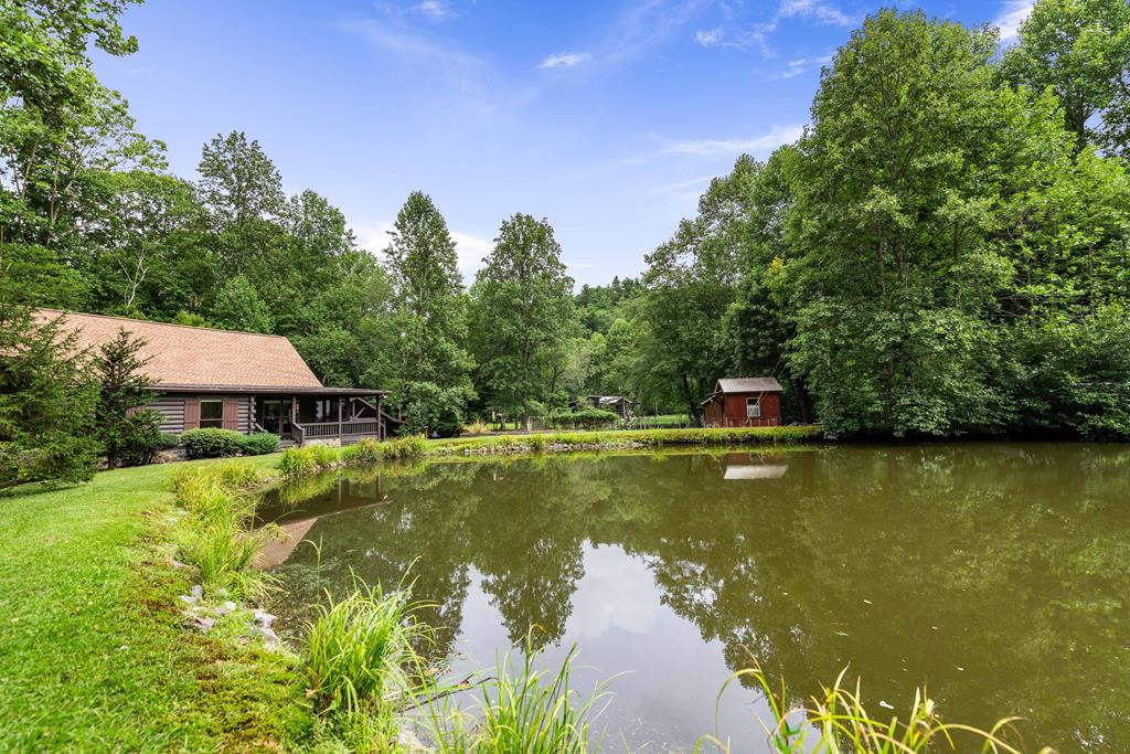 151 Olivers Pond Road Cherry Log, GA 30522 - Photo 8 of 57