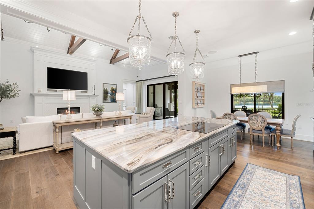 16115 Chastain Road Odessa, FL 33556 - Photo 25 of 85 Gallery Image 25