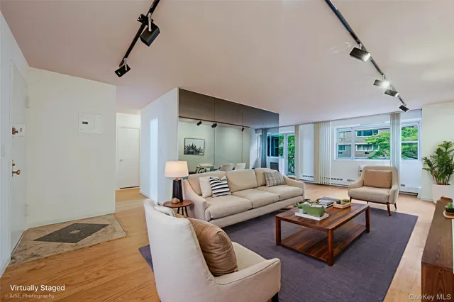 a living room with furniture and a rug