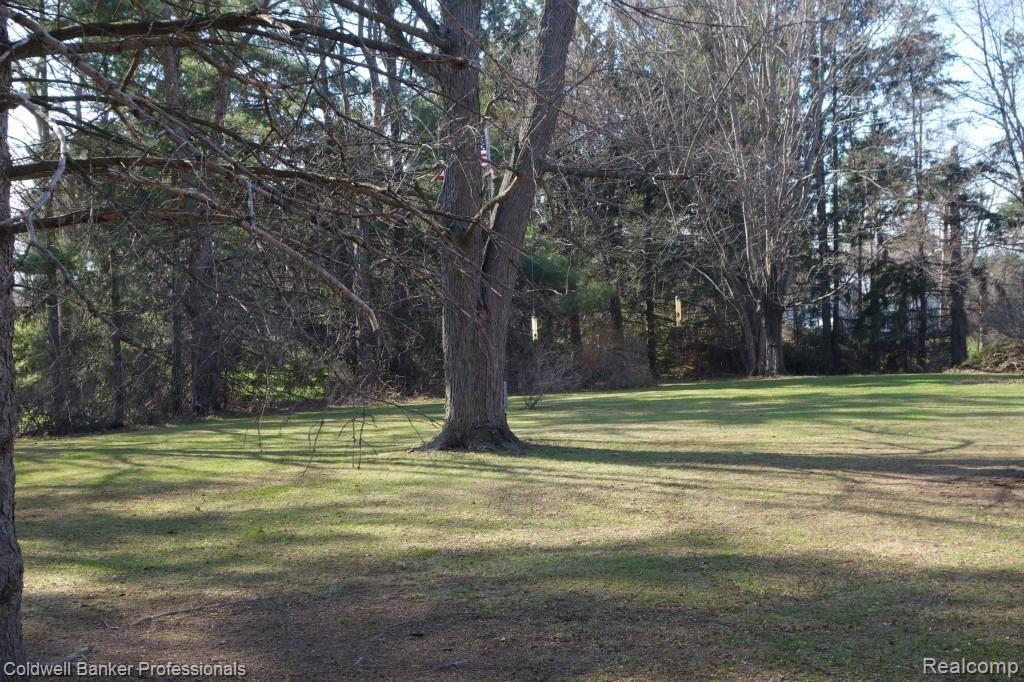 1095 East Buell Road Rochester, MI 48306 - Photo 4 of 25 Heavily Treed Lot