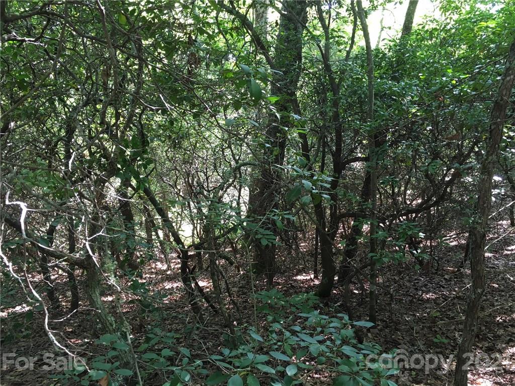 M95 Hawks Crest, Unit M95 Brevard, NC 28712 - Photo 2 of 6