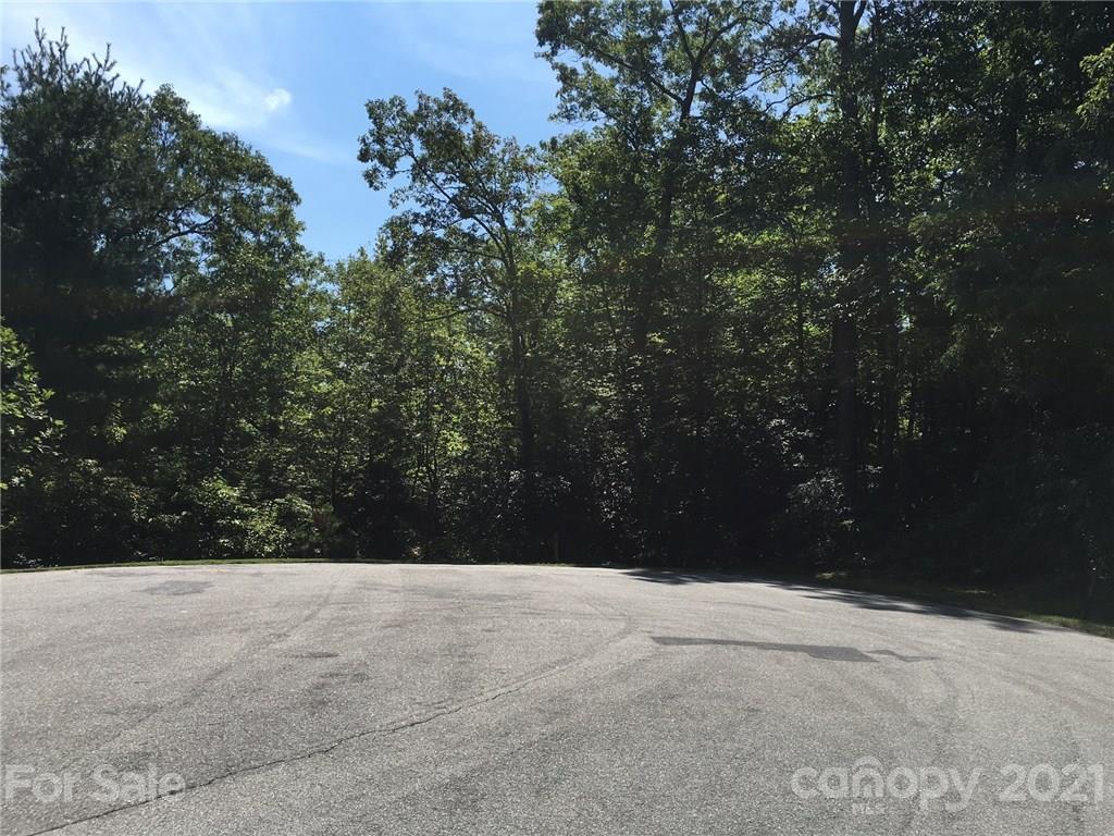 M95 Hawks Crest, Unit M95 Brevard, NC 28712 - Photo 3 of 6