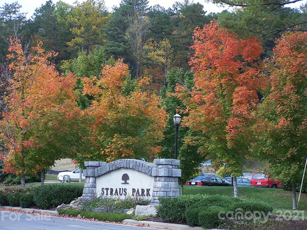 M95 Hawks Crest, Unit M95 Brevard, NC 28712 - Photo 4 of 6