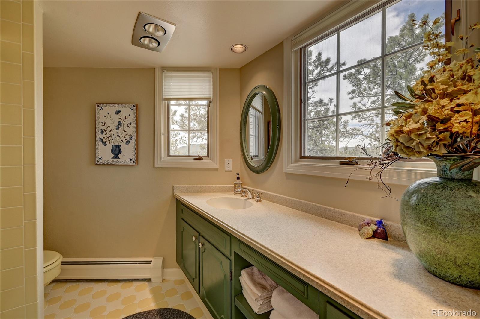 29603 Canterbury Circle Evergreen, CO 80439 - Photo 24 of 40