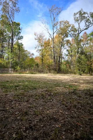 a view of beach and trees
