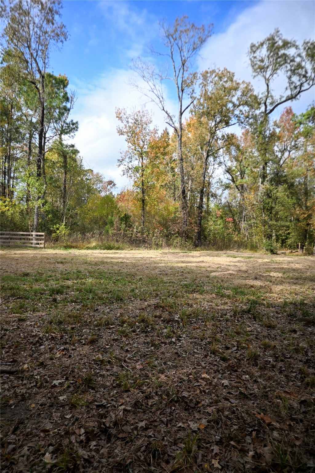 Tbd Jerry Raymond Road Wallisville, TX 77597 - Photo 3 of 13 a view of beach and trees