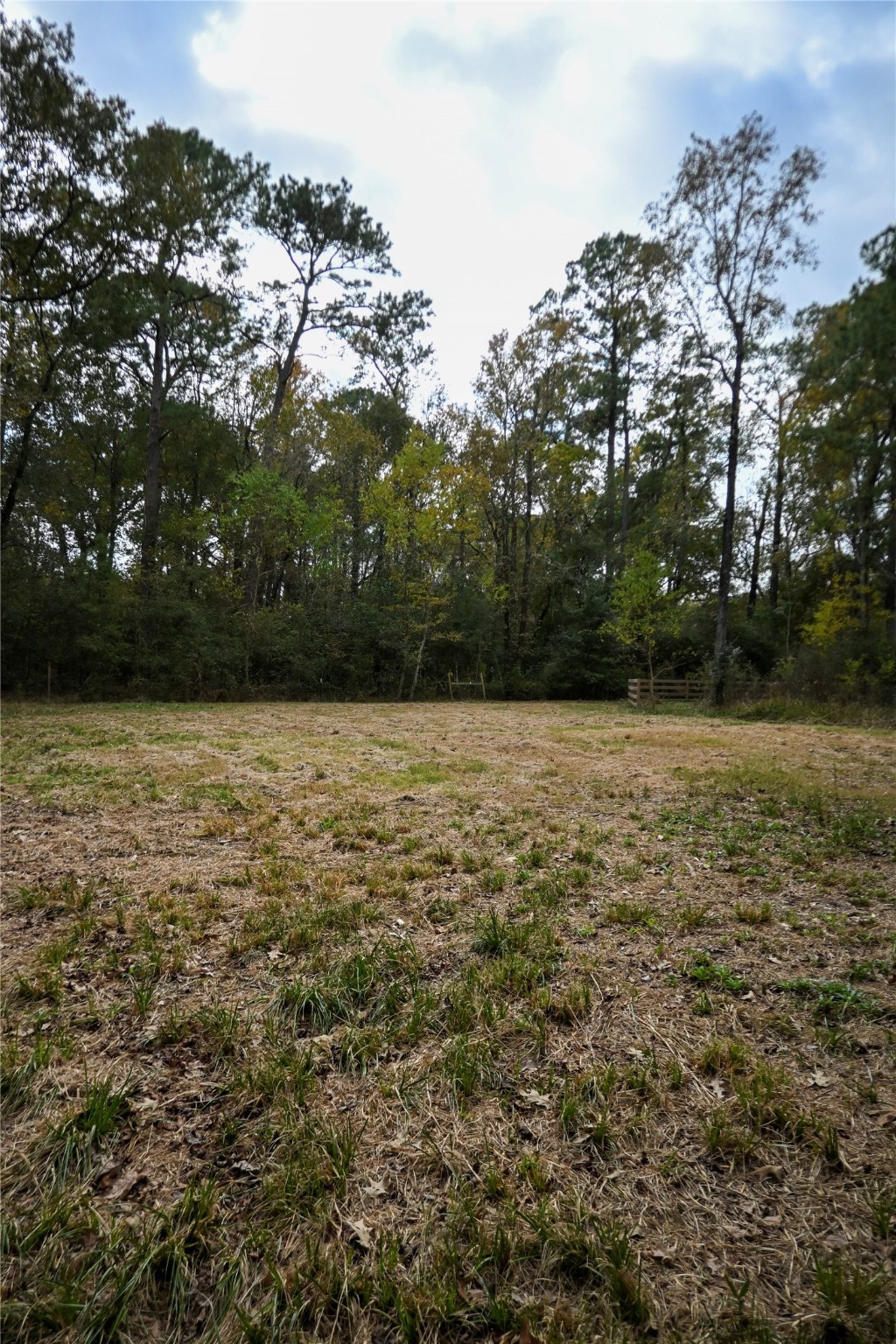 Tbd Jerry Raymond Road Wallisville, TX 77597 - Photo 4 of 13 a view of a lake view