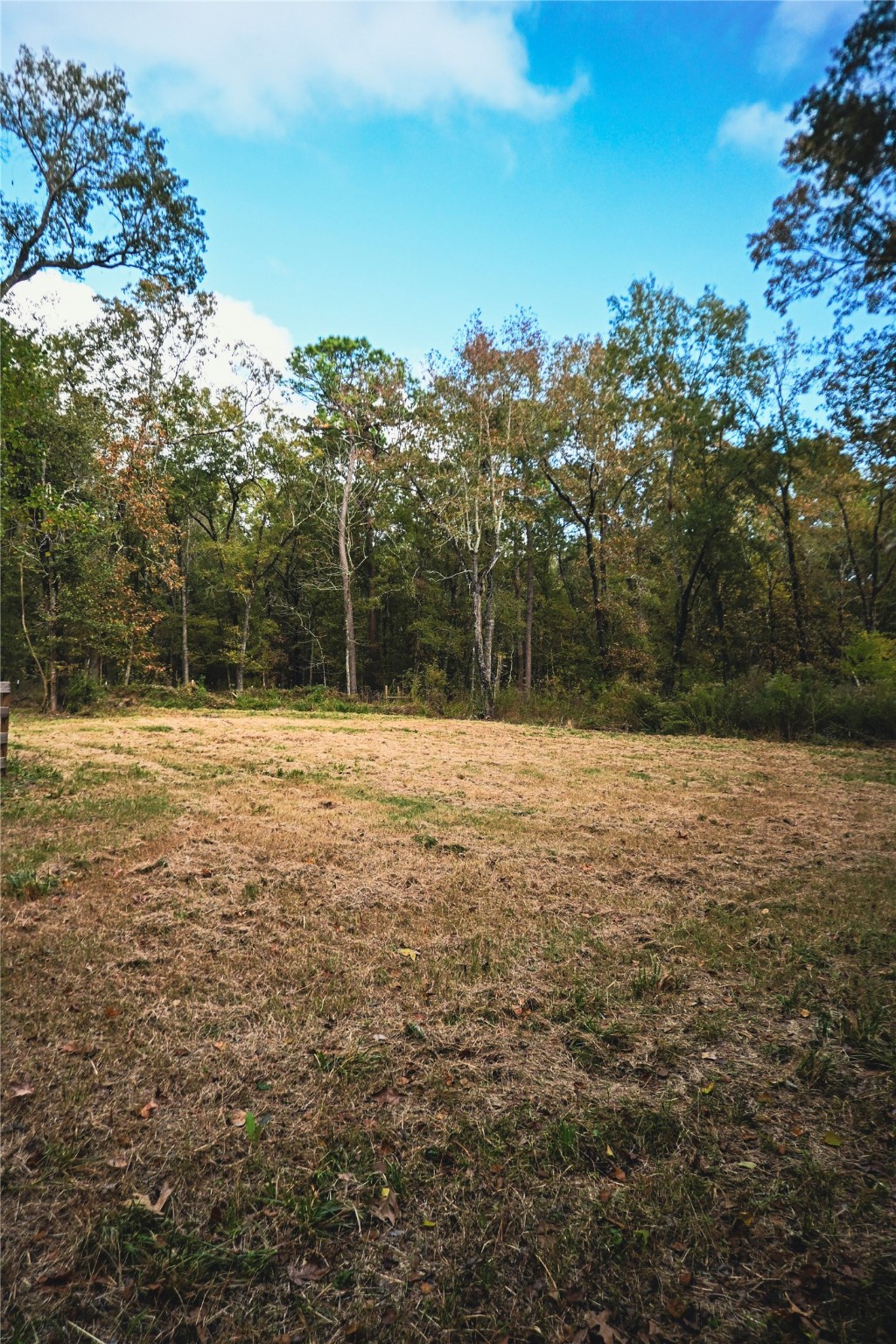 Tbd Jerry Raymond Road Wallisville, TX 77597 - Photo 5 of 13 a view of outdoor space and yard