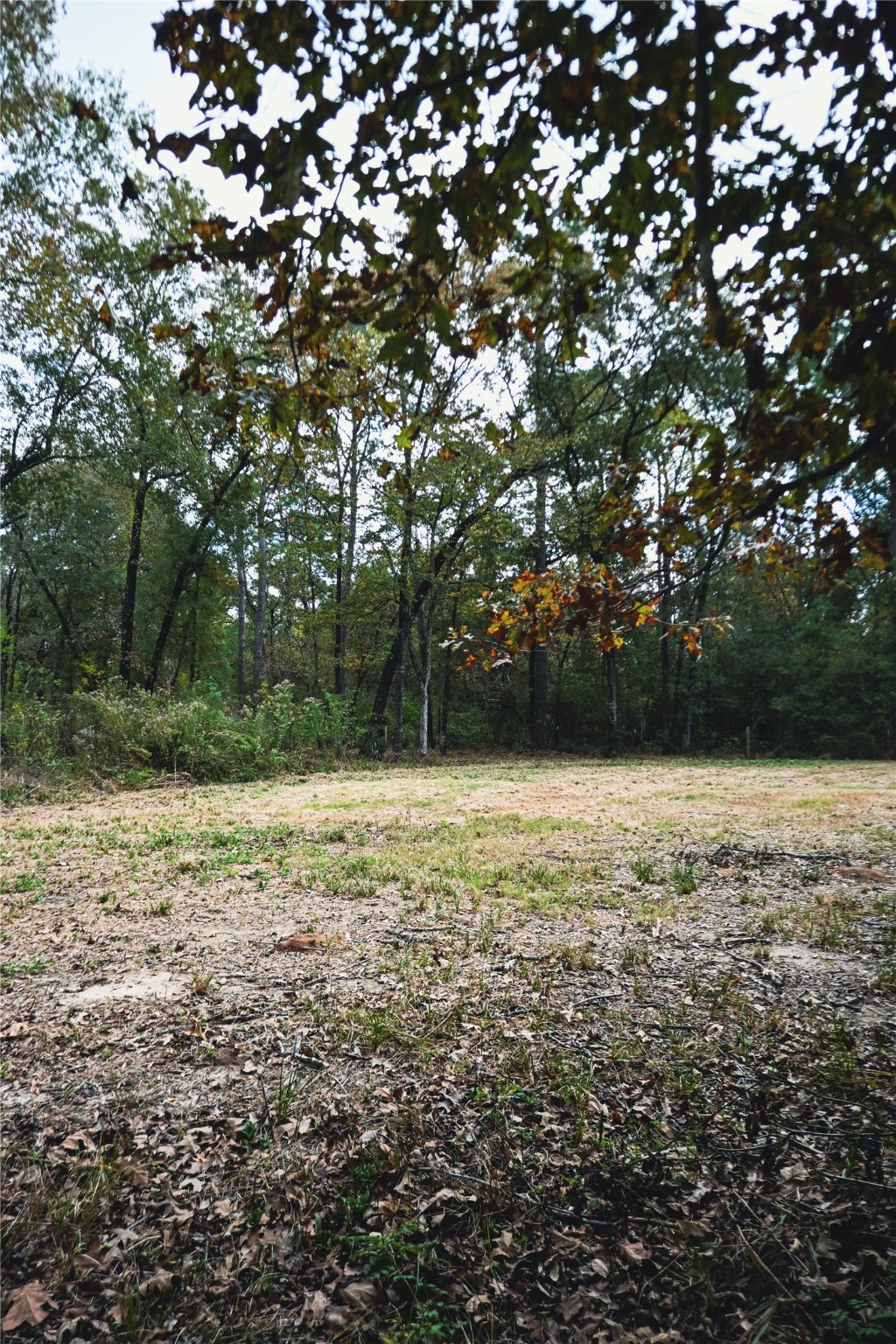 Tbd Jerry Raymond Road Wallisville, TX 77597 - Photo 6 of 13 a view of outdoor space with deck and yard