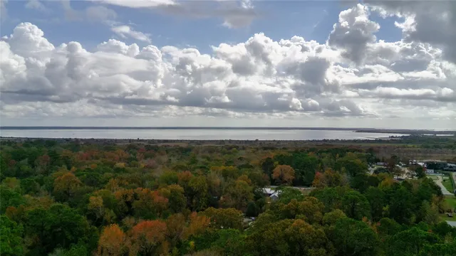 a view of a lake with lots of trees