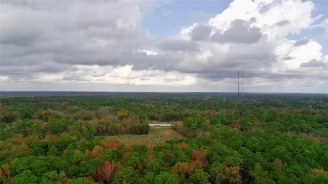 a view of a city with lush green forest