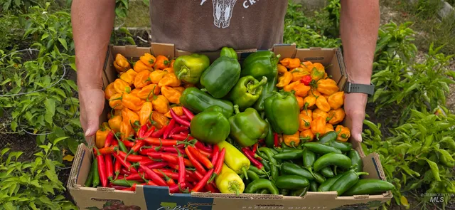 $699,000 | 22996 Blessinger Road, Star, ID 83669