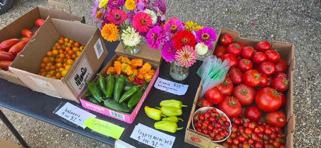 $699,000 | 22996 Blessinger Road, Star, ID 83669