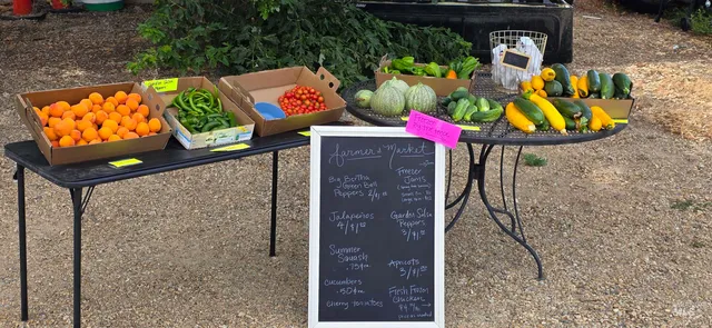 $699,000 | 22996 Blessinger Road, Star, ID 83669