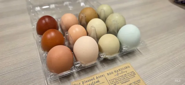 $699,000 | 22996 Blessinger Road, Star, ID 83669