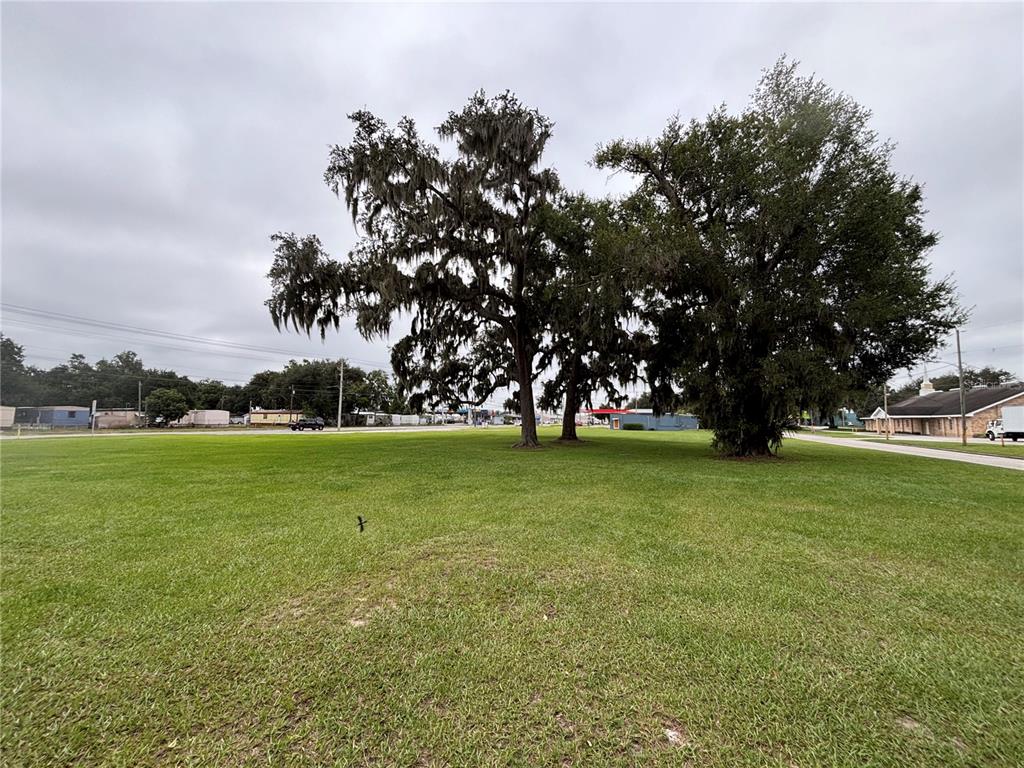 Pine Level Avenue South Bartow, FL 33830 - Photo 1 of 10