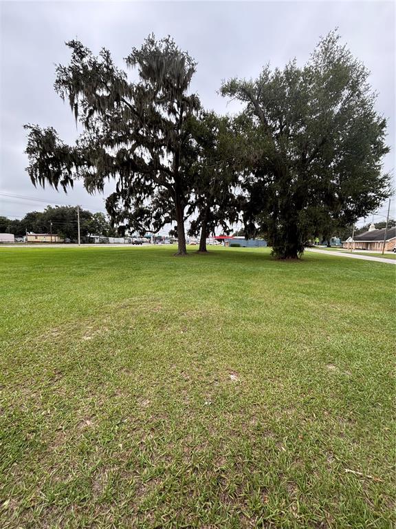 Pine Level Avenue South Bartow, FL 33830 - Photo 2 of 10