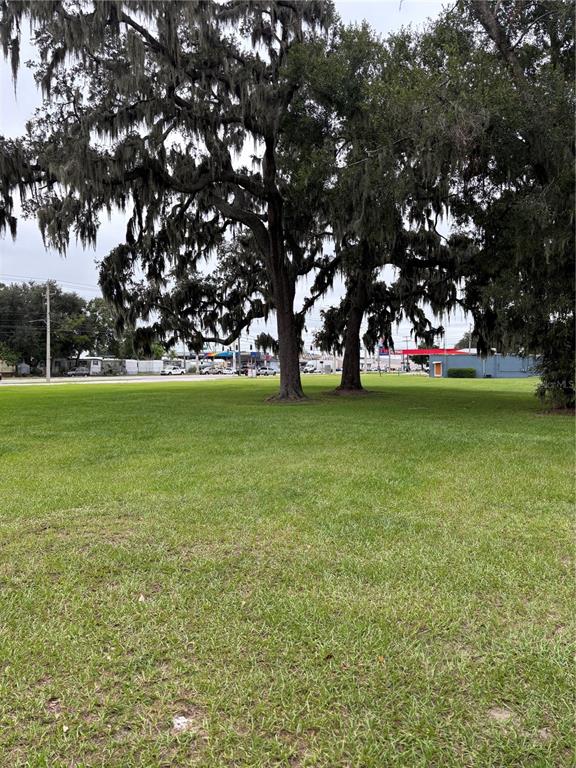 Pine Level Avenue South Bartow, FL 33830 - Photo 3 of 10