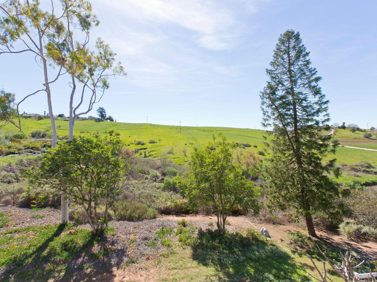 9929 West Lilac Road Escondido, CA 92026 - Photo 23 of 25 Gallery Image 23