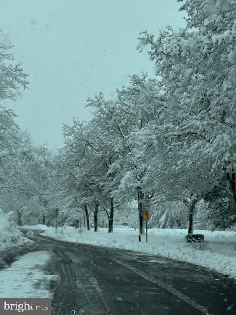 144 Van Dyke Road Hopewell, NJ 08525 - Photo 59 of 59 a view of outdoor space with trees