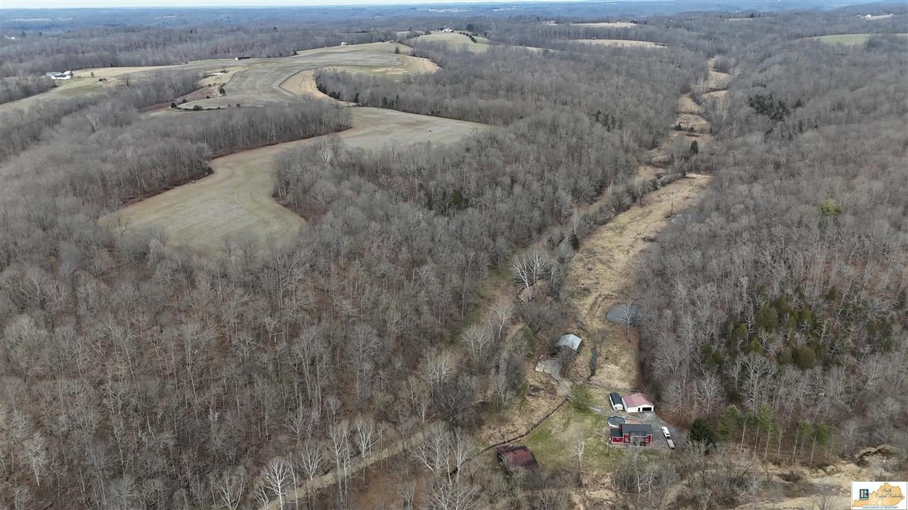 439 Spout Springs Road Knifley, KY 42753 - Photo 1 of 92 Gallery Image 1