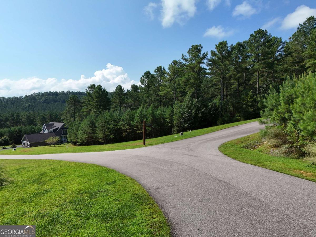 Lot 121 Stables Rise Blairsville, GA 30512 - Photo 31 of 51