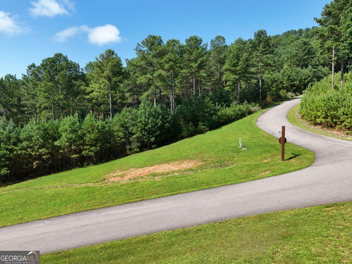 Lot 121 Stables Rise Blairsville, GA 30512 - Photo 32 of 51