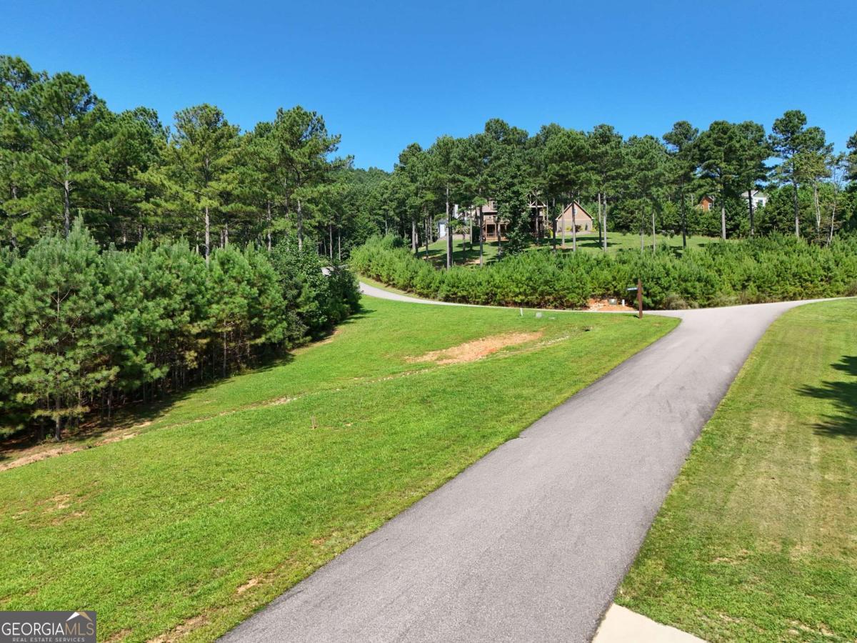 Lot 121 Stables Rise Blairsville, GA 30512 - Photo 33 of 51