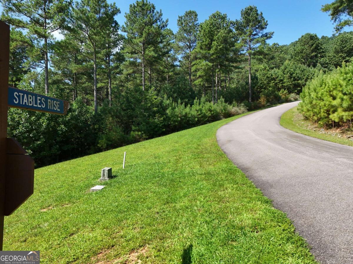 Lot 121 Stables Rise Blairsville, GA 30512 - Photo 34 of 51