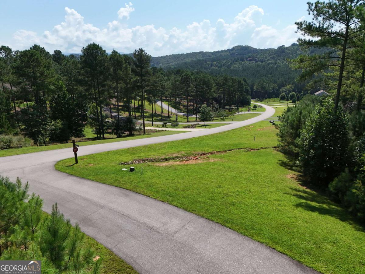 Lot 121 Stables Rise Blairsville, GA 30512 - Photo 35 of 51