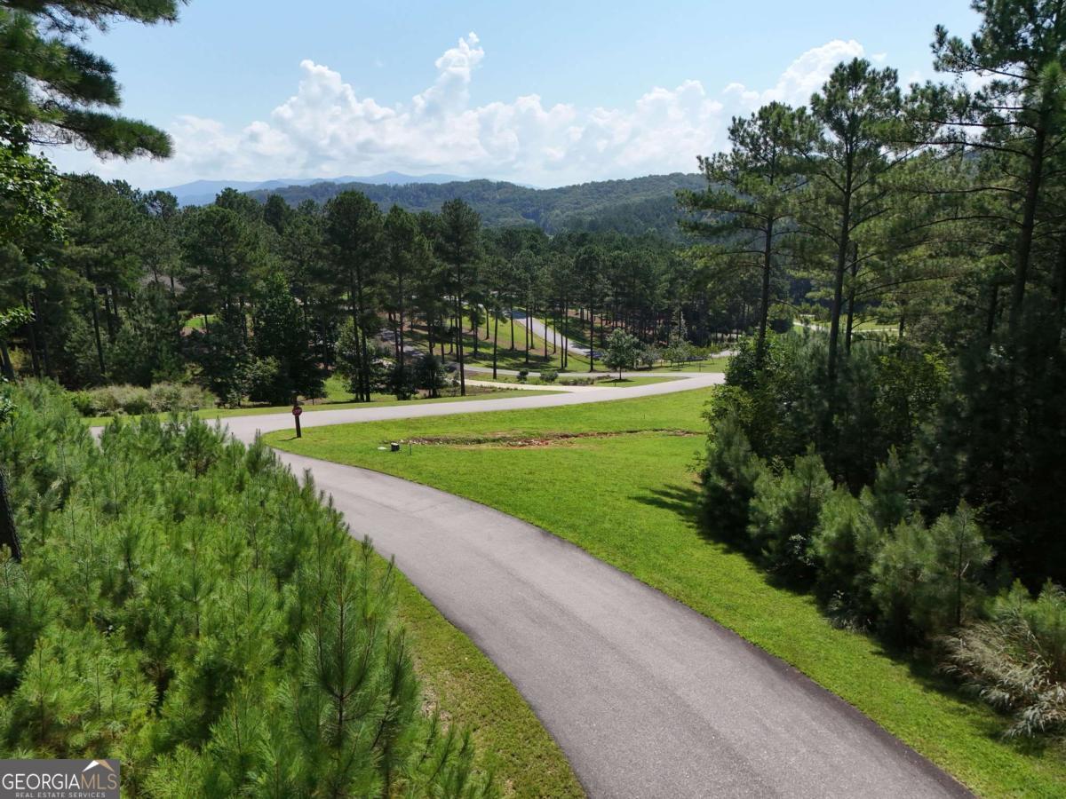 Lot 121 Stables Rise Blairsville, GA 30512 - Photo 36 of 51