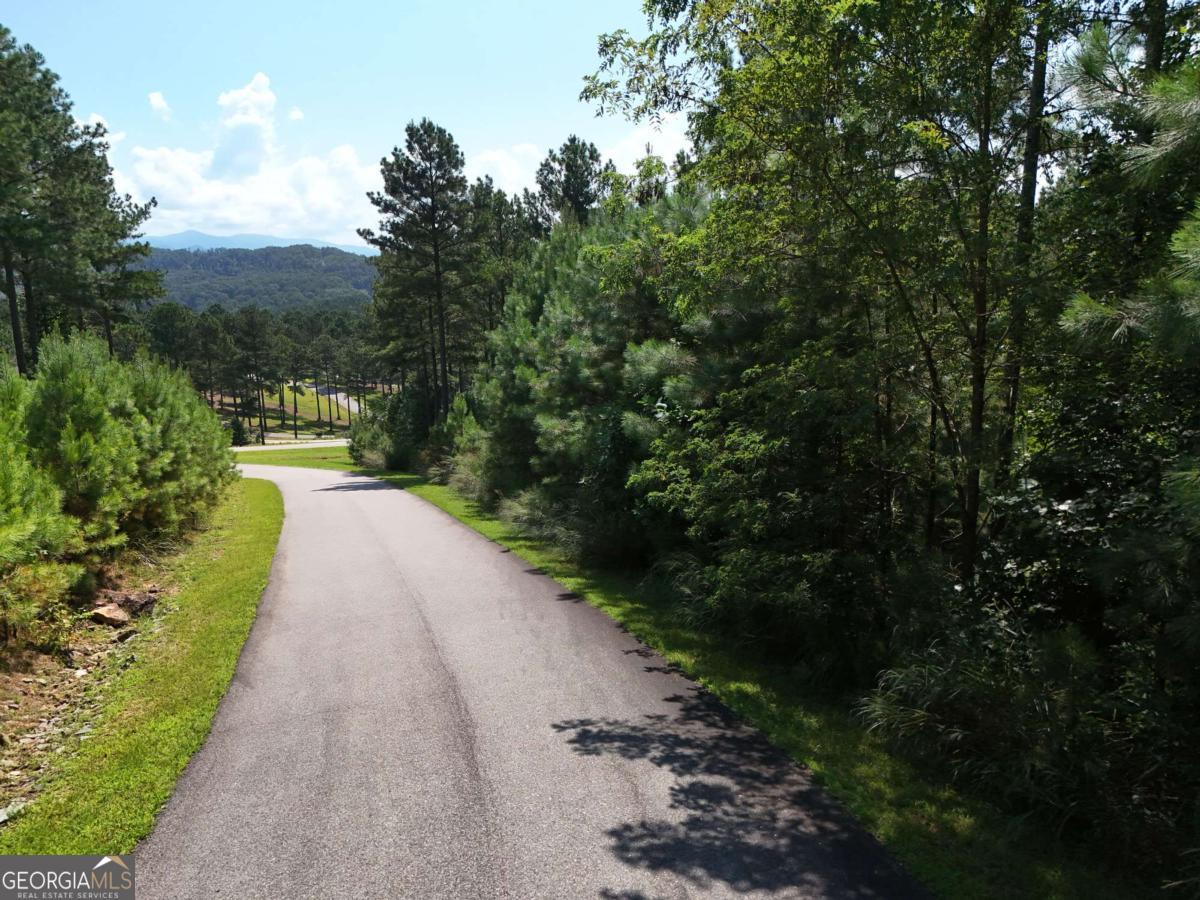 Lot 121 Stables Rise Blairsville, GA 30512 - Photo 37 of 51