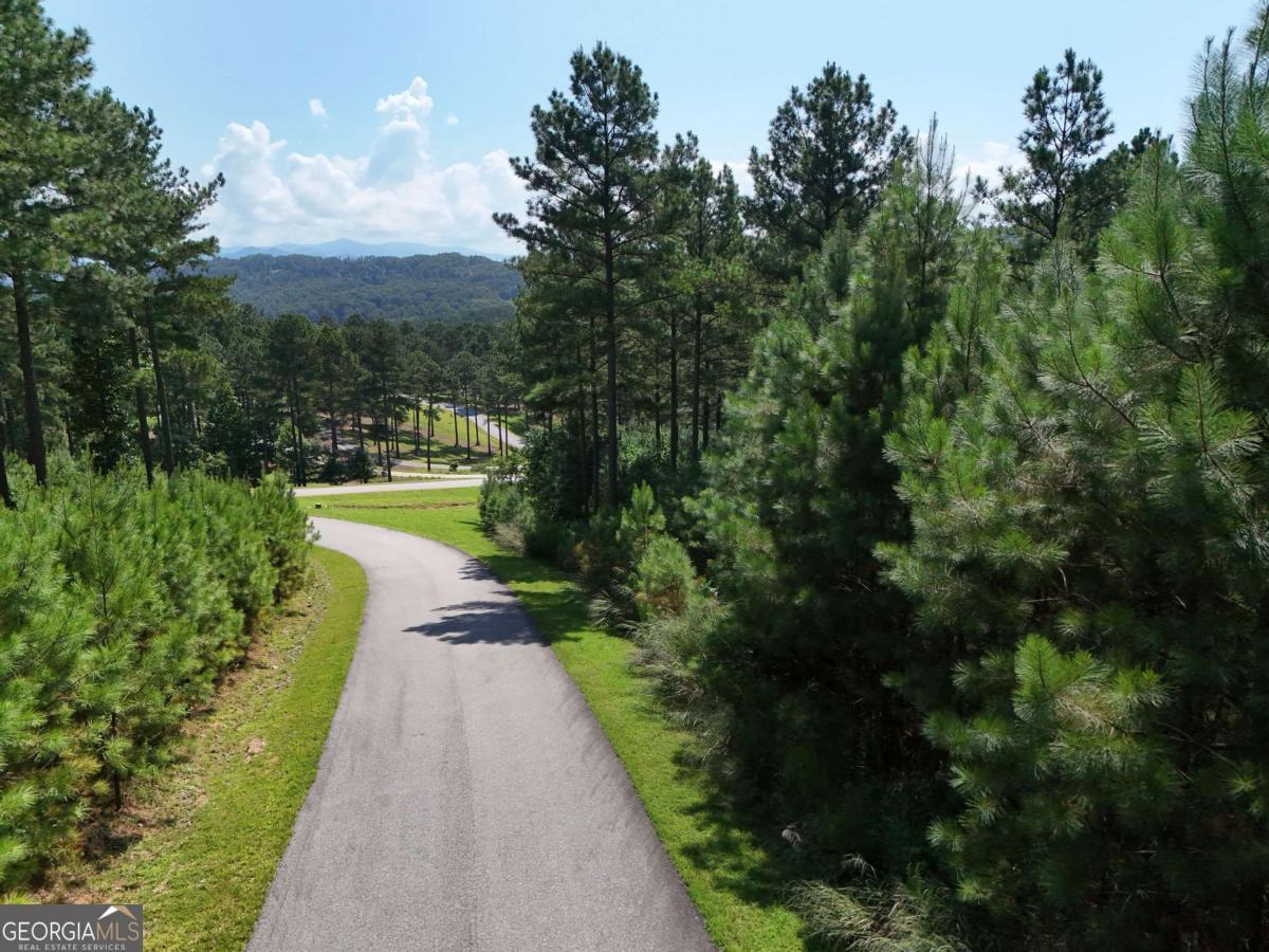 Lot 121 Stables Rise Blairsville, GA 30512 - Photo 38 of 51