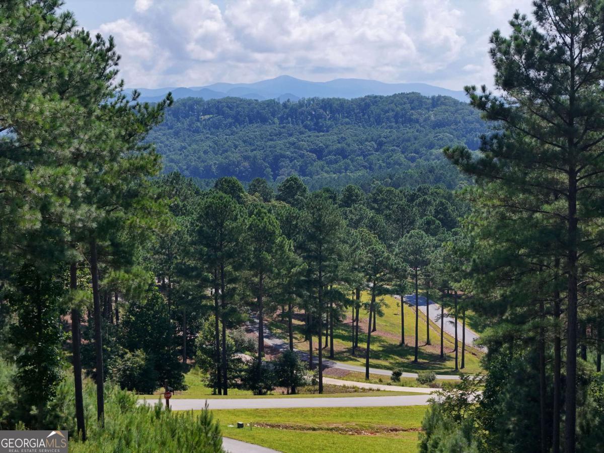 Lot 121 Stables Rise Blairsville, GA 30512 - Photo 39 of 51
