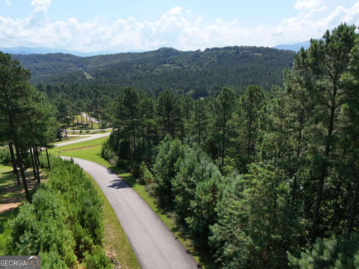 Lot 121 Stables Rise Blairsville, GA 30512 - Photo 40 of 51