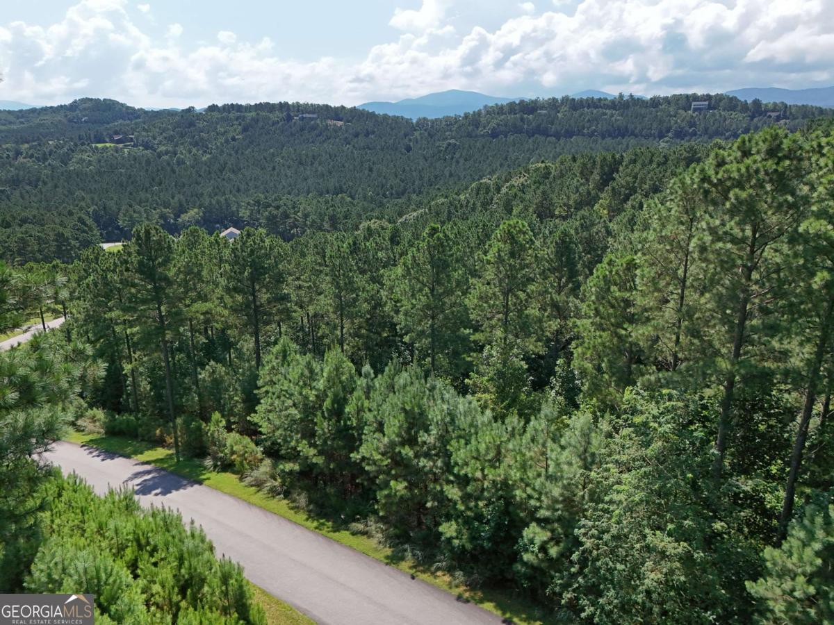 Lot 121 Stables Rise Blairsville, GA 30512 - Photo 41 of 51