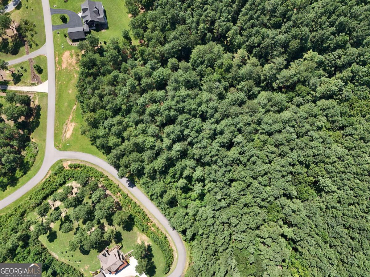 Lot 121 Stables Rise Blairsville, GA 30512 - Photo 43 of 51