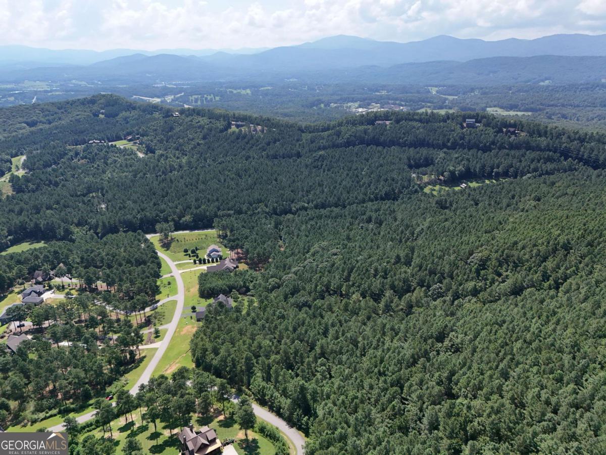 Lot 121 Stables Rise Blairsville, GA 30512 - Photo 44 of 51