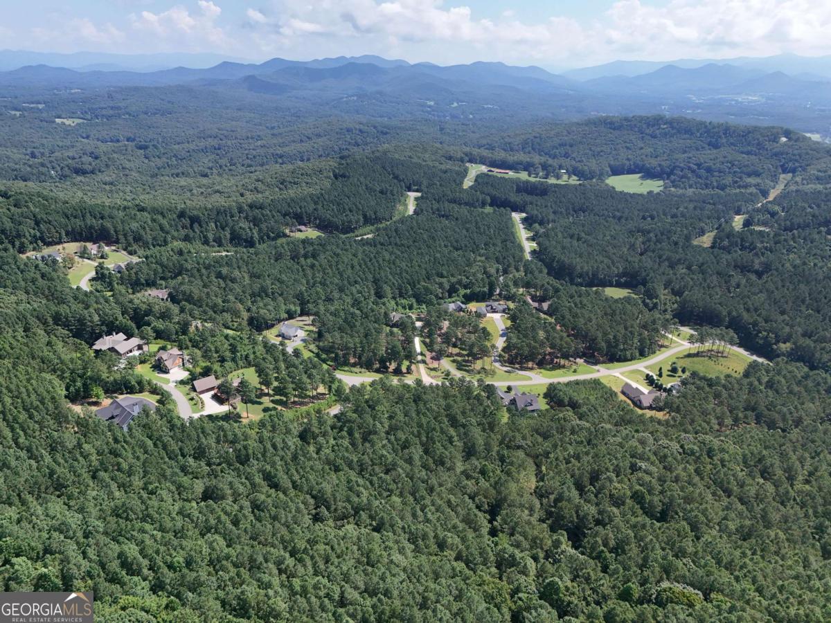 Lot 121 Stables Rise Blairsville, GA 30512 - Photo 46 of 51