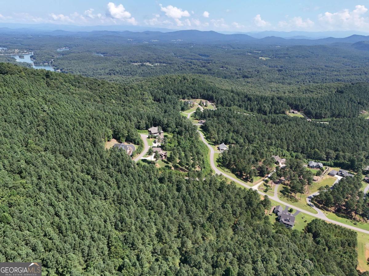 Lot 121 Stables Rise Blairsville, GA 30512 - Photo 47 of 51