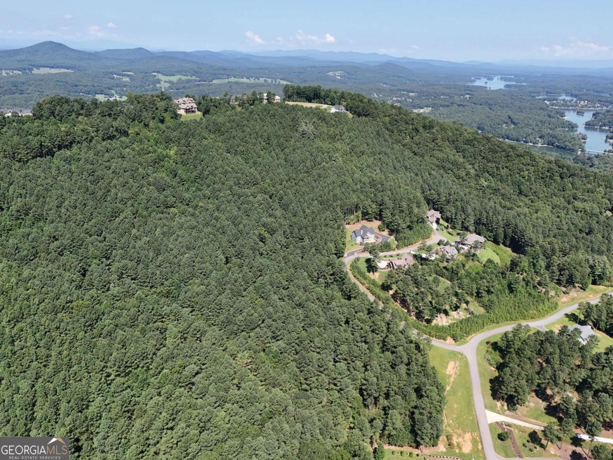 Lot 121 Stables Rise Blairsville, GA 30512 - Photo 48 of 51