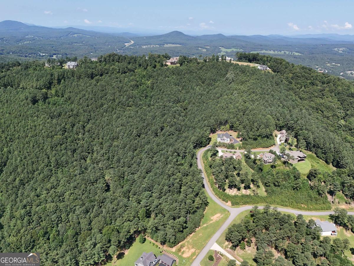 Lot 121 Stables Rise Blairsville, GA 30512 - Photo 50 of 51