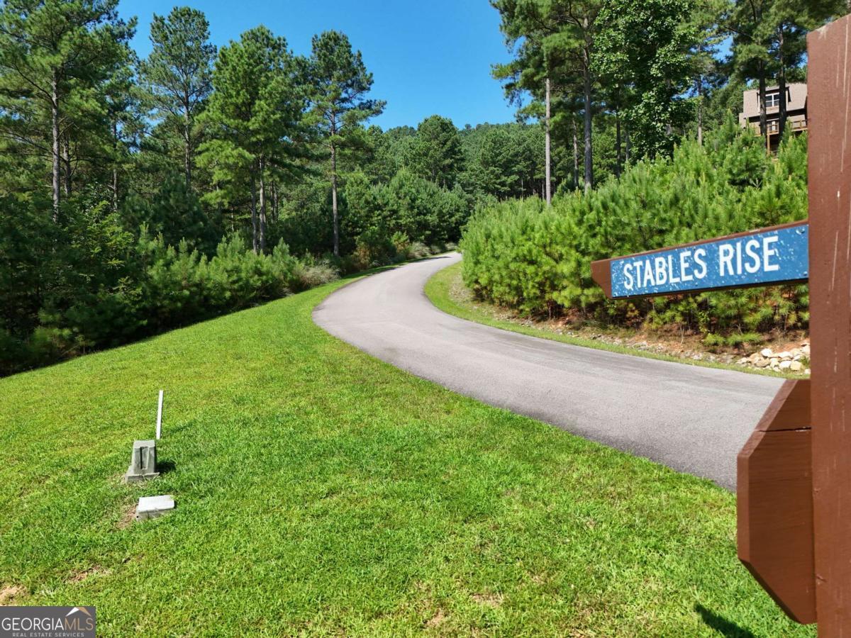 Lot 121 Stables Rise Blairsville, GA 30512 - Photo 5 of 51