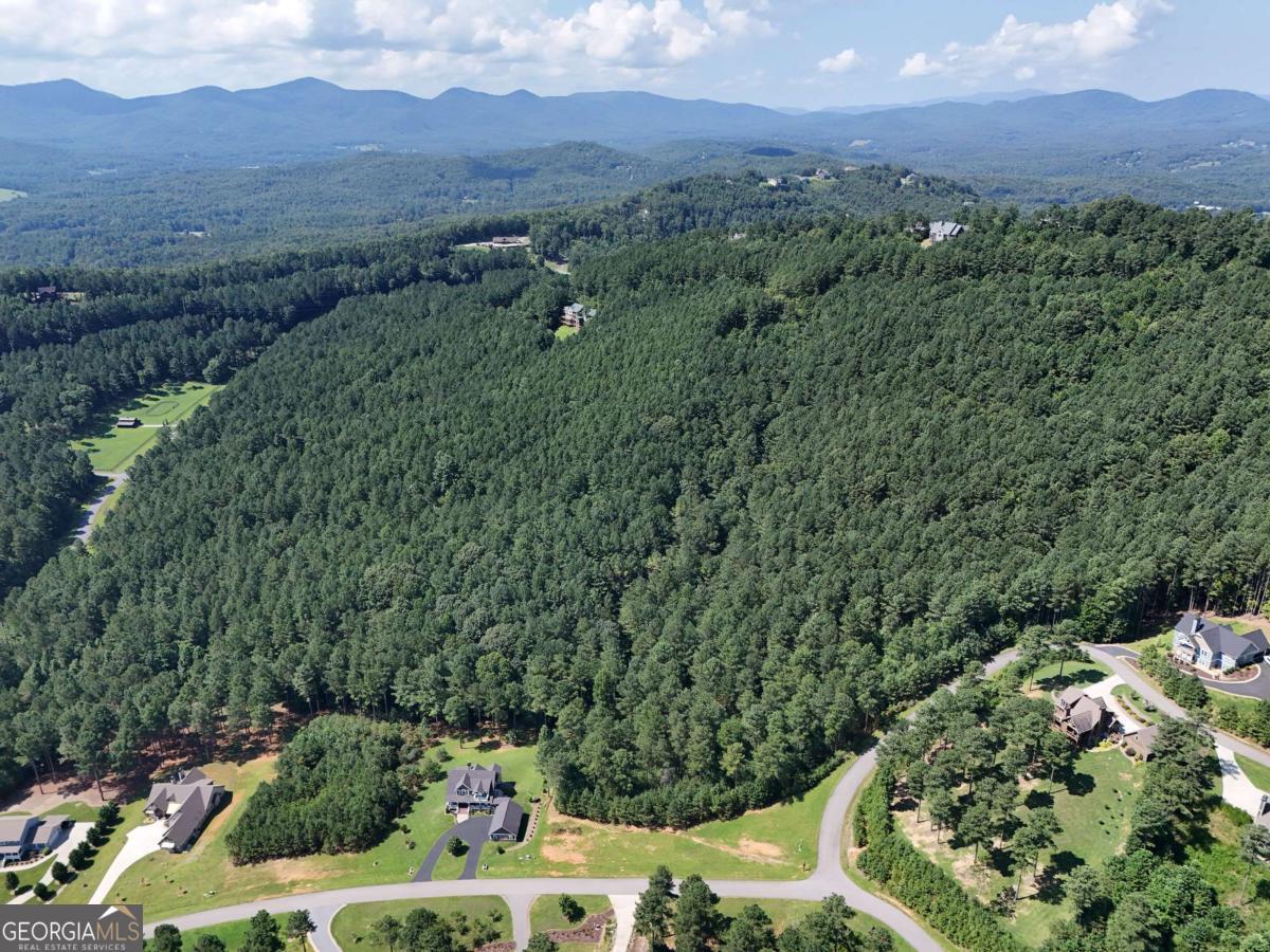 Lot 121 Stables Rise Blairsville, GA 30512 - Photo 51 of 51